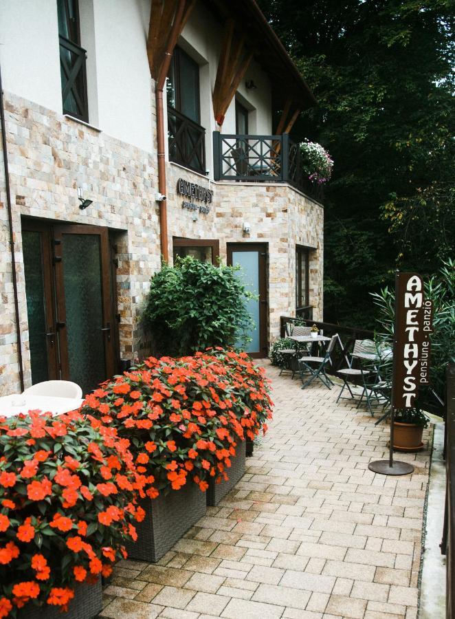 Amethyst Bed & Breakfast Sovata Exterior photo